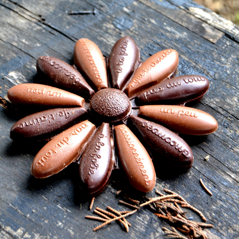 Marguerite en chocolat - Fête des mères